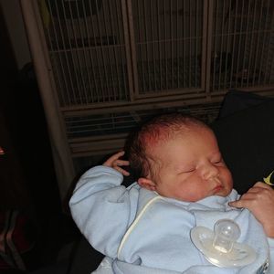 Meet your Posher, Sherry